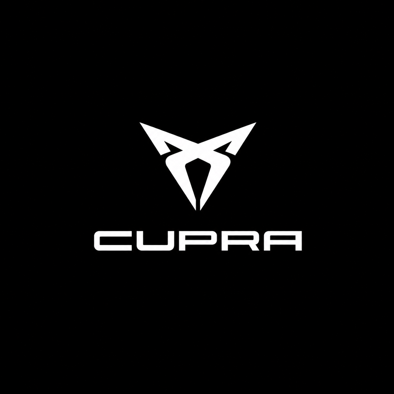 Cupra Aftermarket Parts