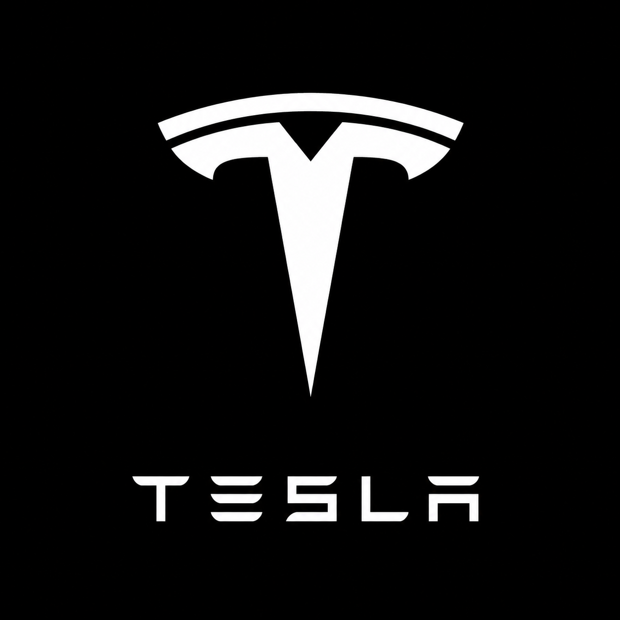 Tesla Aftermarket Parts